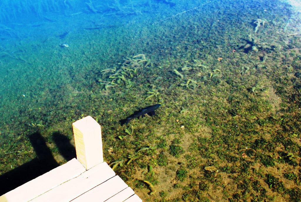 Lodge De Montana Lago Monreal El Blanco Ngoại thất bức ảnh
